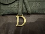 Dior Bag Saddle